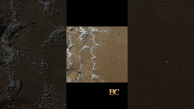 Beaches in Spain’s Valencia region closed after “unknown material” washes ashore