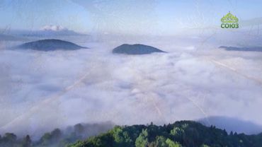 Стихи над миром. Стихотворения Зинаиды Миркиной