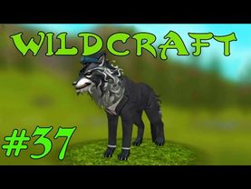 WildCraft Симулятор жизни зверей Онлайн #37 Непослушная Хлоя и снова ШЛЯПА