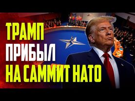 Трамп прибыл на саммит НАТО на фоне прекращения огня между Ираном и Израилем