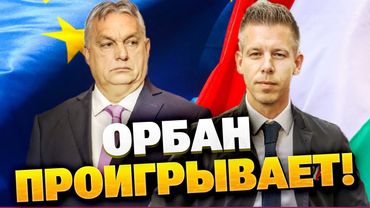 Орбан теряет позиции: Мадяр выходит вперёд — что думают в Будапеште