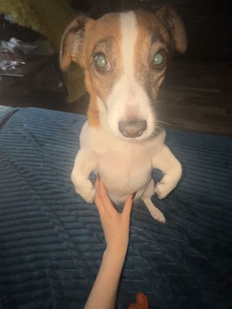 TikTok video #7575880654974373151