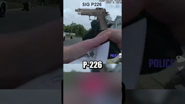 Как жёлудь спровоцировал копов 🌰