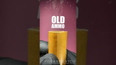 RARE SHOTGUN SHELLS #check #buckshot #12gauge #gun #asmr #reloadanimation #drobashot #hunter