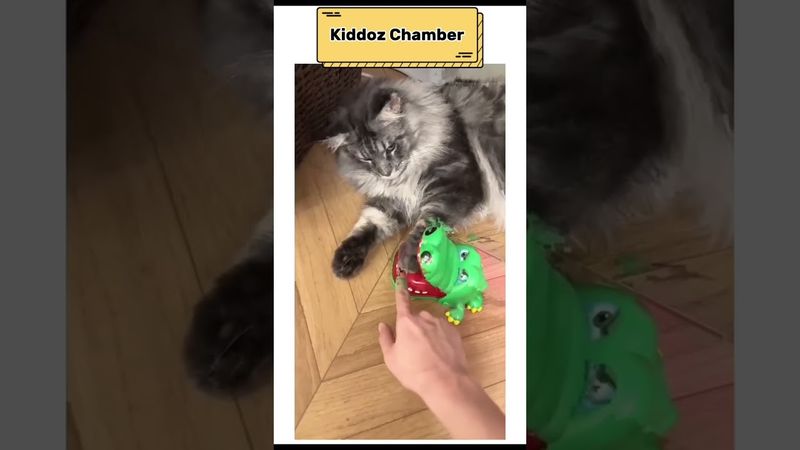 Kucing Pintar 🥰 Bagian 2 #shorts #videopendek #kucing #kucing #catshorts #memekucing #videokucing...