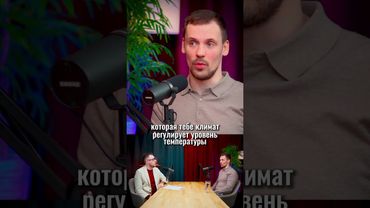 Вентиляция или кондиционер - что выбрать?