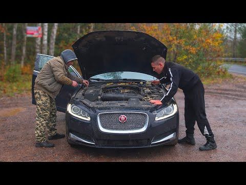 Погладь кота! Оживляем Ягуар XF 2014г.
