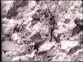 Война в чечне