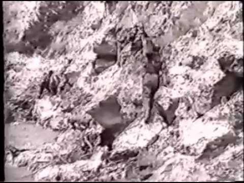 Война в чечне