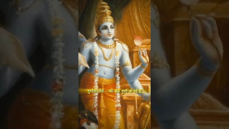 विष्णु भगवान | श्री हरि स्तोत्रम् | #shriharistotram #spiritual #lordvishnu #lordkrishna#harekrishna