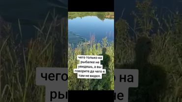 #fishing #рыбалканафидер #юмор #рыбалканаозере #балык #прикол