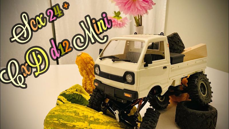 Scx24/CxD d12 mini - Together at last!!