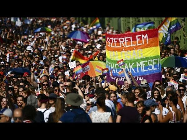 Hungary's LGBTQ+ law breaches EU regulation, top court advocate says