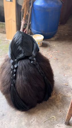 Look at this pretty girl  #monkey #animal #foryou #fyp #lovely  