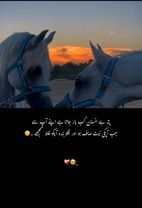 💔     - #foryou #foryoupage #urdupoetry #urdushire #fyp #poetry #ahsamjaved #urdushaire 