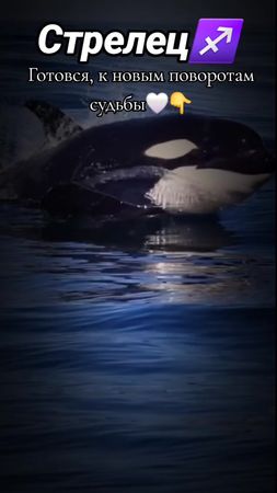 #zodiacsigns #loveyou #fup #♐️ #стрелец 