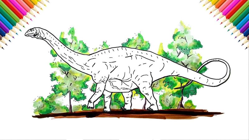 How to Draw Apatosaurus | Drawing and Coloring