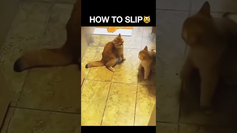 Boxing motivation🥊 #miketyson #boxing