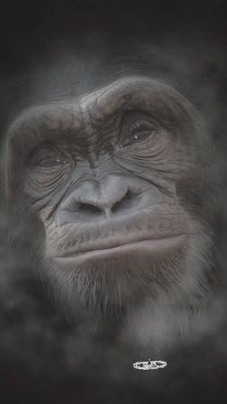 TikTok video #7566332455465078038