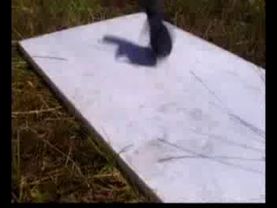 рекламный ролик Осы