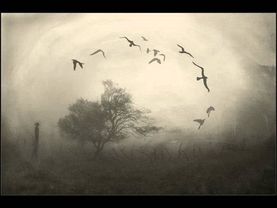 Пикник - Раз,два 1995