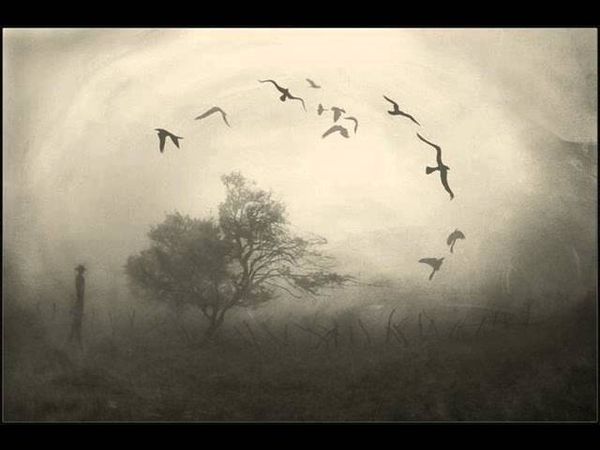 Пикник - Раз,два 1995