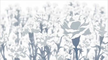 Цветы красивые#rize #ризе #токийскийгуль #tokioghoul #канеки #kaneki ...