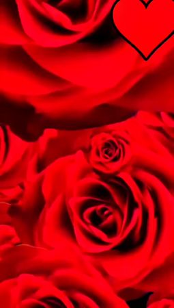 #имена #рек #рекомендации