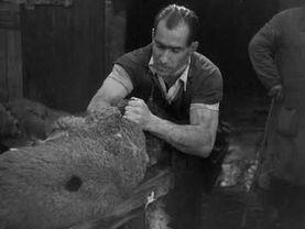 Blood of the Beasts (Le sang des bêtes) - Georges Franju (1949)