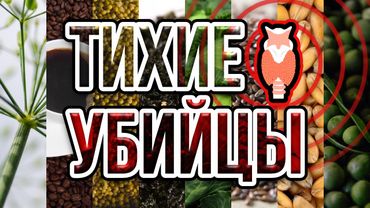 8 продуктов, которые незаметно убивают щитовидку