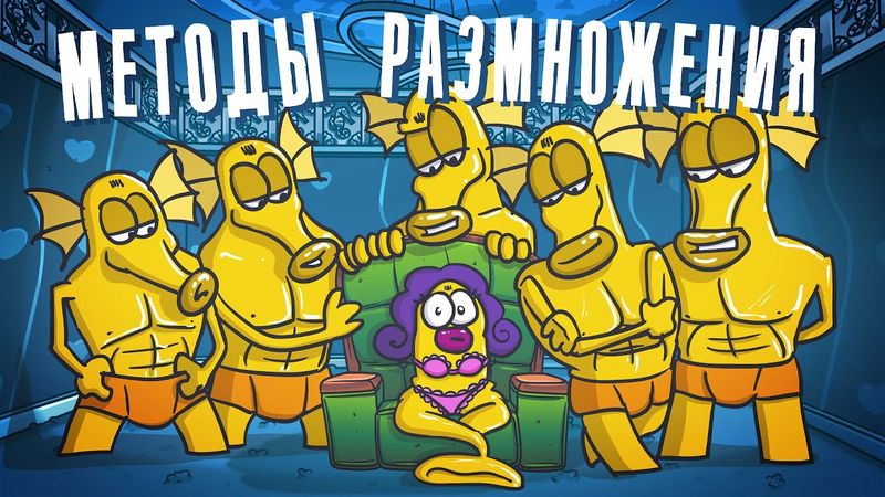 РАЗМНОЖЕНИЕ НЕОБЫЧНЫМИ методами. Часть 2: ( Анимация | Истории )