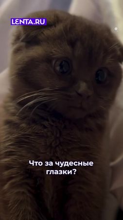В эти глазки можно смотреть вечно!😍