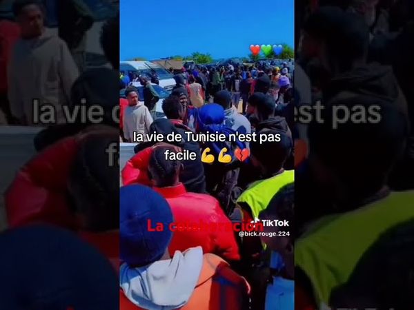 Gobiernos qué colaboran en la mafia