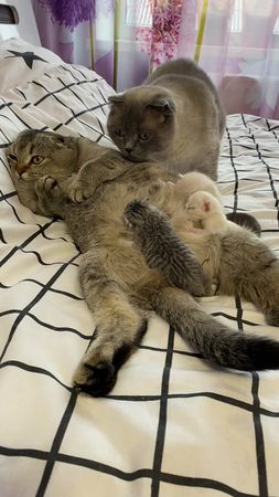 TikTok video #7482015437362826502