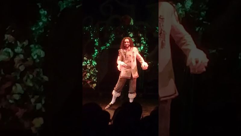 Спектакль "Три Мушкетера" Король -Владимир Филиппов. Театр Стаса Намина