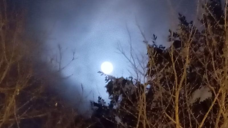 Время антихриста. Знаки яда при Луне. Без света и тепла, части России, вся Украина. Ненависть везде