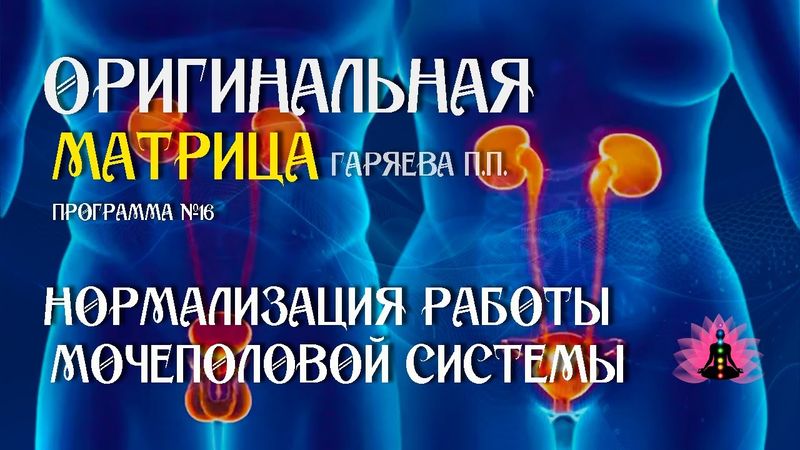 «Нормализация работы мочеполовой системы» Программа №16⚠️Оригинальная матрица Гаряева☀️ SoftRadio ru