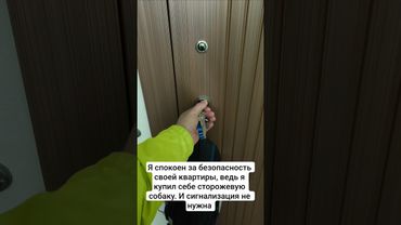 #сторожеваясобака #французскийбульдог #собакаприколы #собака #бульдог #funnydogvideos #frenchbulldog