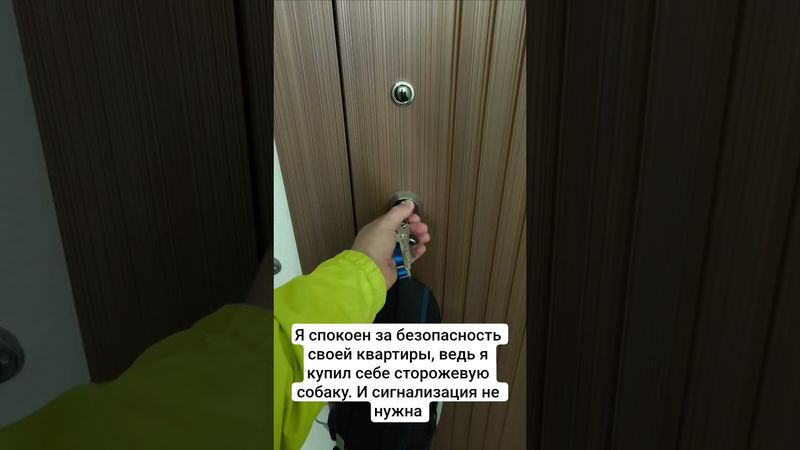 #сторожеваясобака #французскийбульдог #собакаприколы #собака #бульдог #funnydogvideos #frenchbulldog