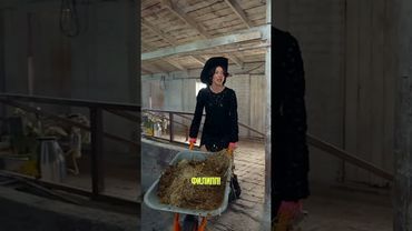 Настюшка-опасность задаёт тренд #ивлеева #чегеря #реалити