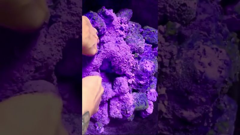 Purple Pasted Freshies 💜