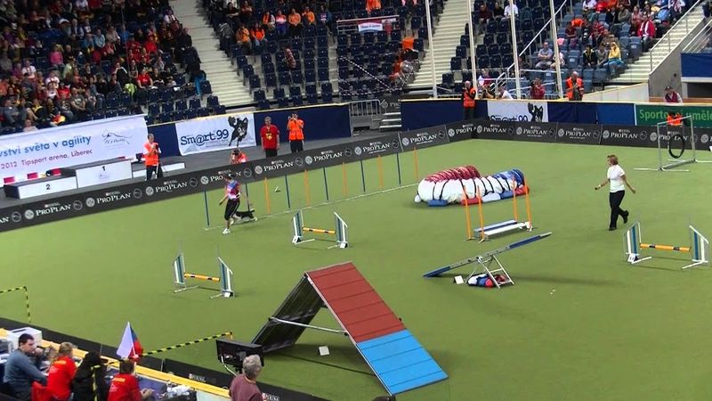 Polina Soloveva Adrenalina RU 36  place AG