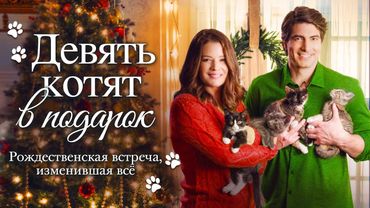 Девять котят в подарок | Маленькое чудо, которое вернуло большое чувство 💖 СМОТРЕТЬ ФИЛЬМ О ЛЮБВИ