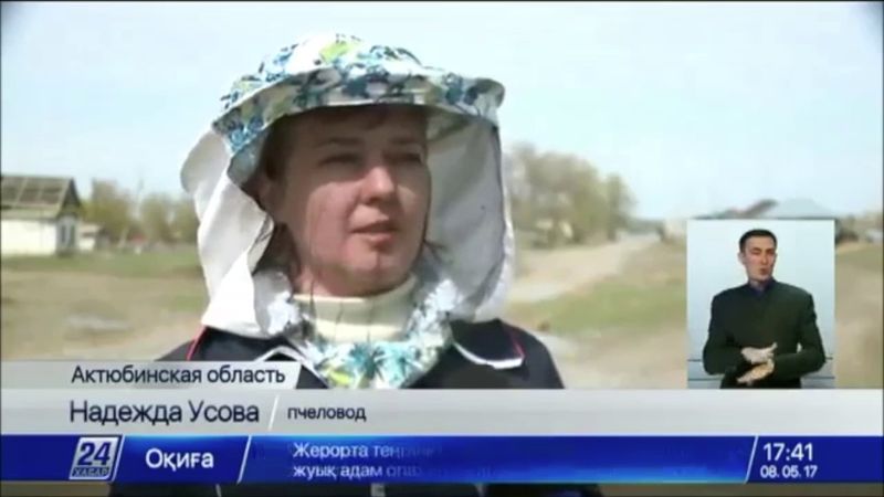 Пчеловодство. Вкусный и прибыльный бизнес. Казахстан.