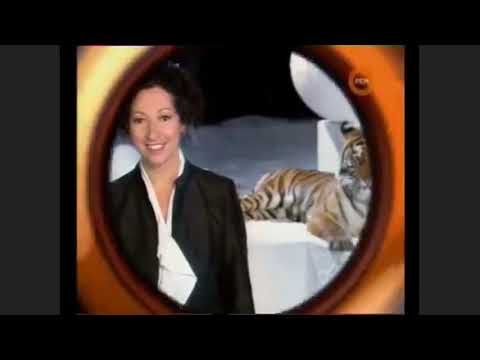 История новогодних заставок РЕН ТВ. Часть 1. 1999 до 2016