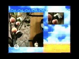 Заставка блока Армения (МИР, апрель 2006)