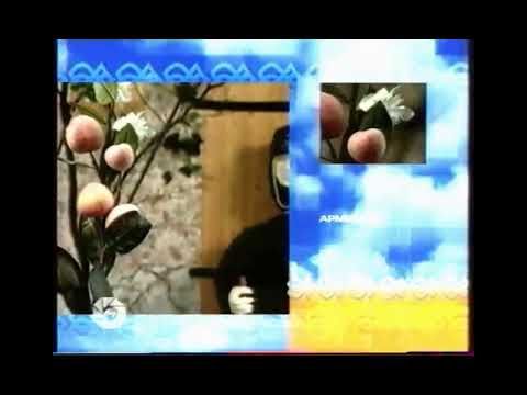 Заставка блока Армения (МИР, апрель 2006)