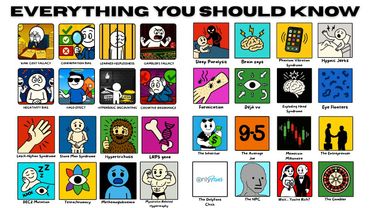 Everything in Life You SHOULD Know, Explained