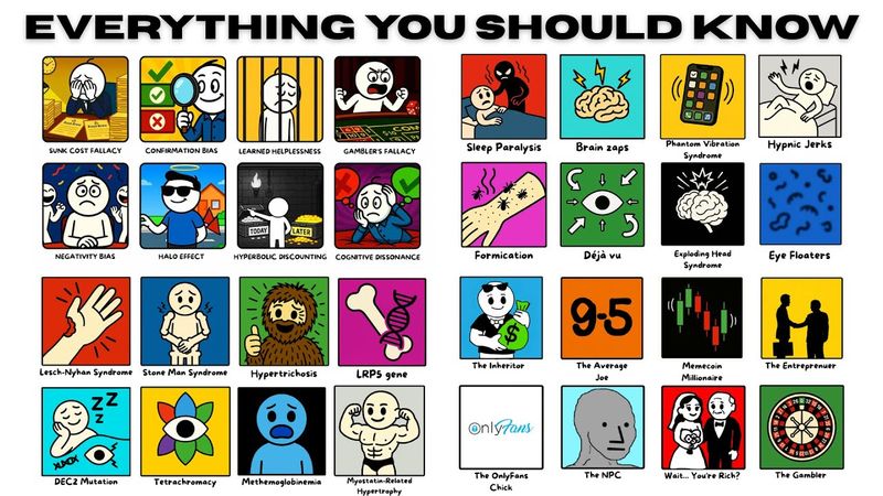 Everything in Life You SHOULD Know, Explained