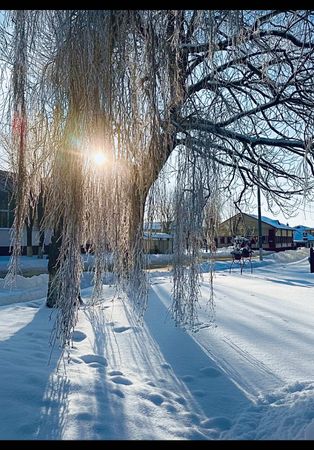 Коротко о погоде в Беларуси  #погода #погодавбеларуси #уприродынетпло...